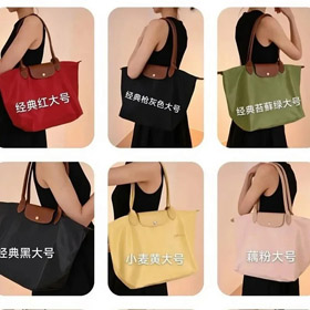 LONGCHAMP Le Pliage sac à bouton et à fermeture éclairée-5502  