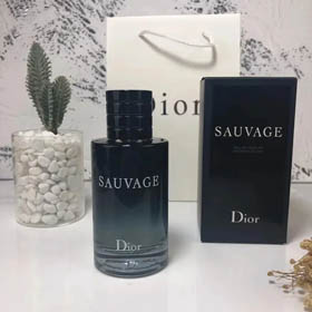 Parfum Dior (style 30+)