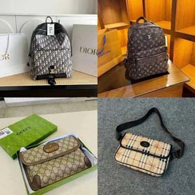 Sac Dior/Louis Vuitton/Gucci (23 styles) -0741